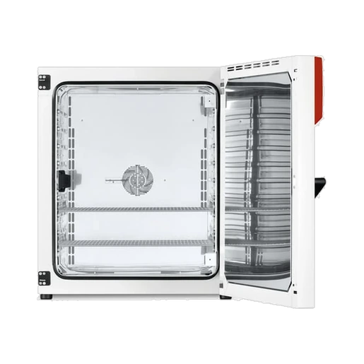 Binder Standard Incubator with forced air circulation BF260-230V, #9010-0319