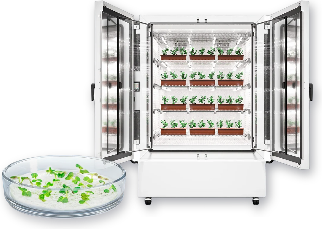 Binder constant climate chamber KBF PRO 720 with LED plant growth light module, open with plants, and a petri dish with tissue culture