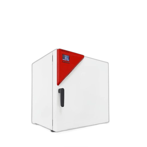 Binder FP 115 drying and heating cabinet with forced air circulation and programme functions, 116 l, 9010-0364