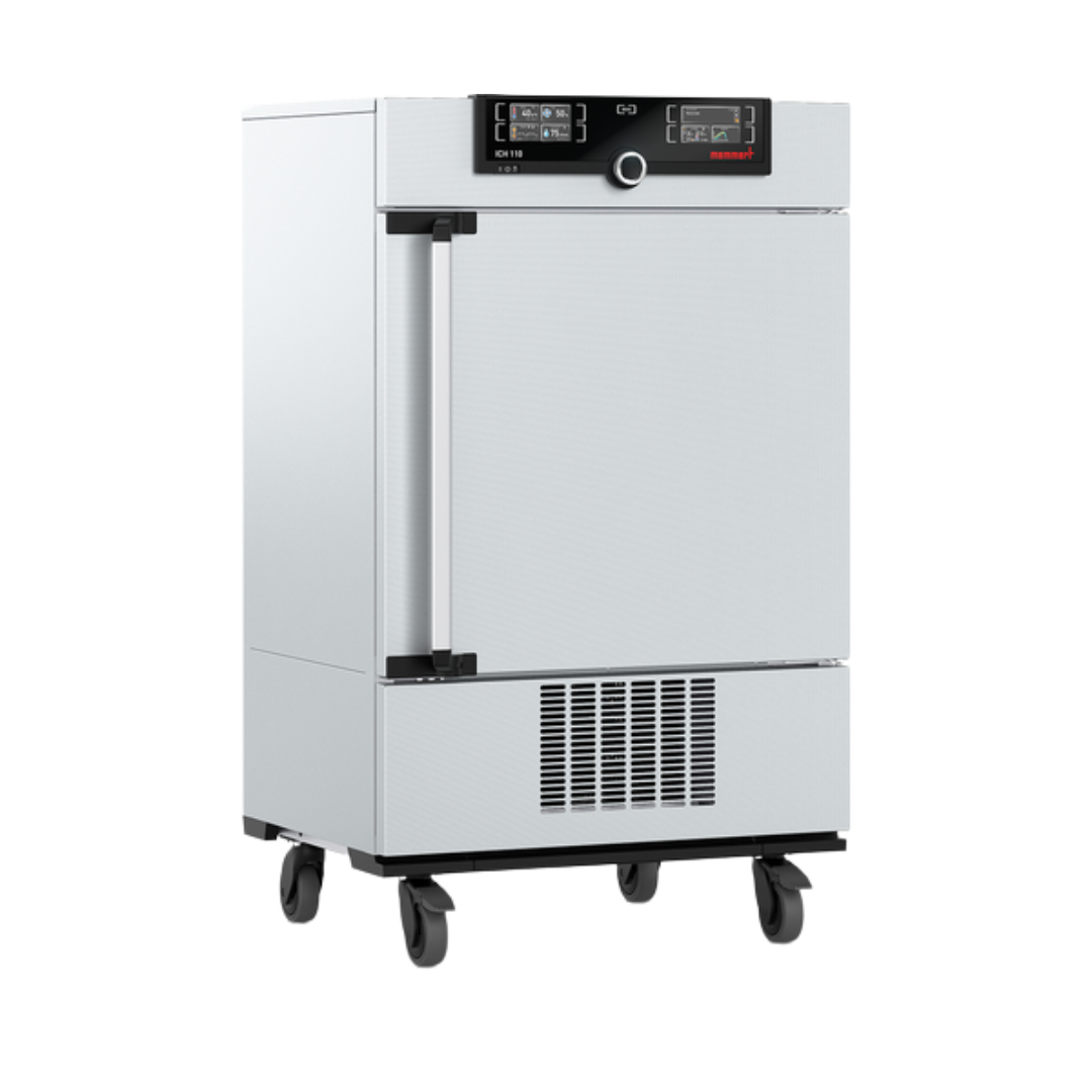 Memmert ICH110 climate chamber (108 L) with humidity control, -10°C, 10–80% rh