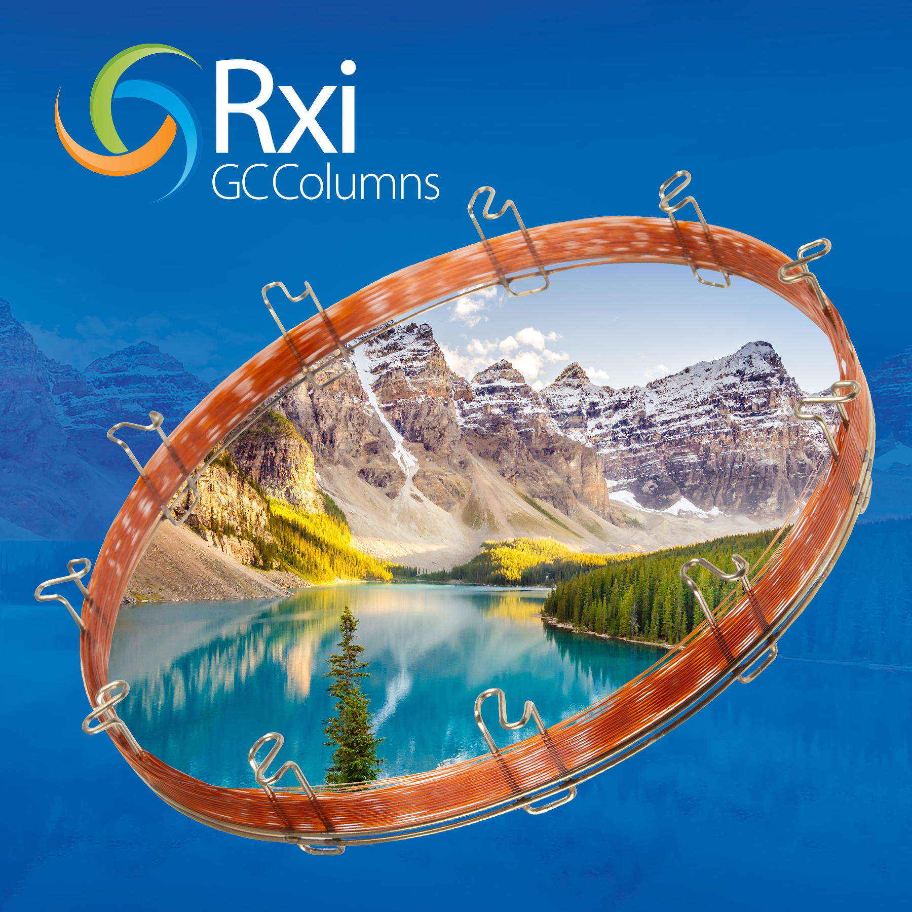 Restek Rxi-SVOCms GC capillary column, 30 m, 0.25 mm ID, 0.25 µm, #16623