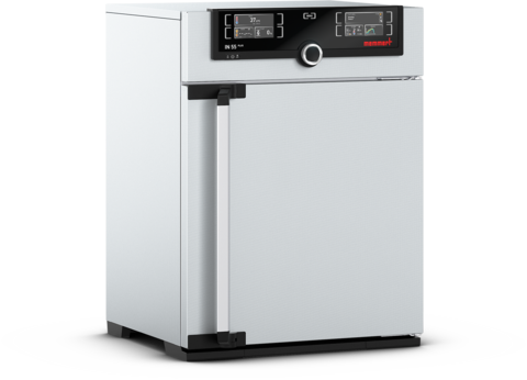 Memmert IN55mplus incubator, 53 litres, 20–80°C