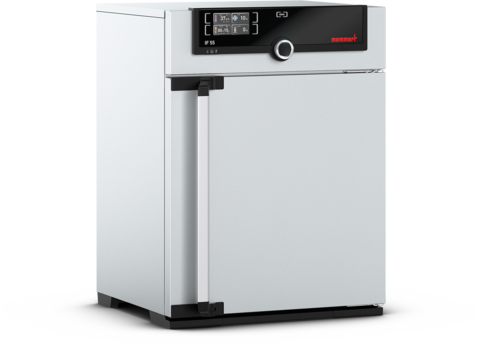 Memmert IF55m incubator, 53 litres, 20–80°C