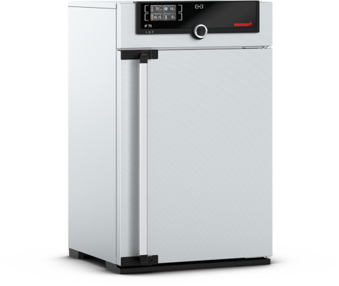 Memmert IF75m Incubator, 74 litres, 20–80 °C