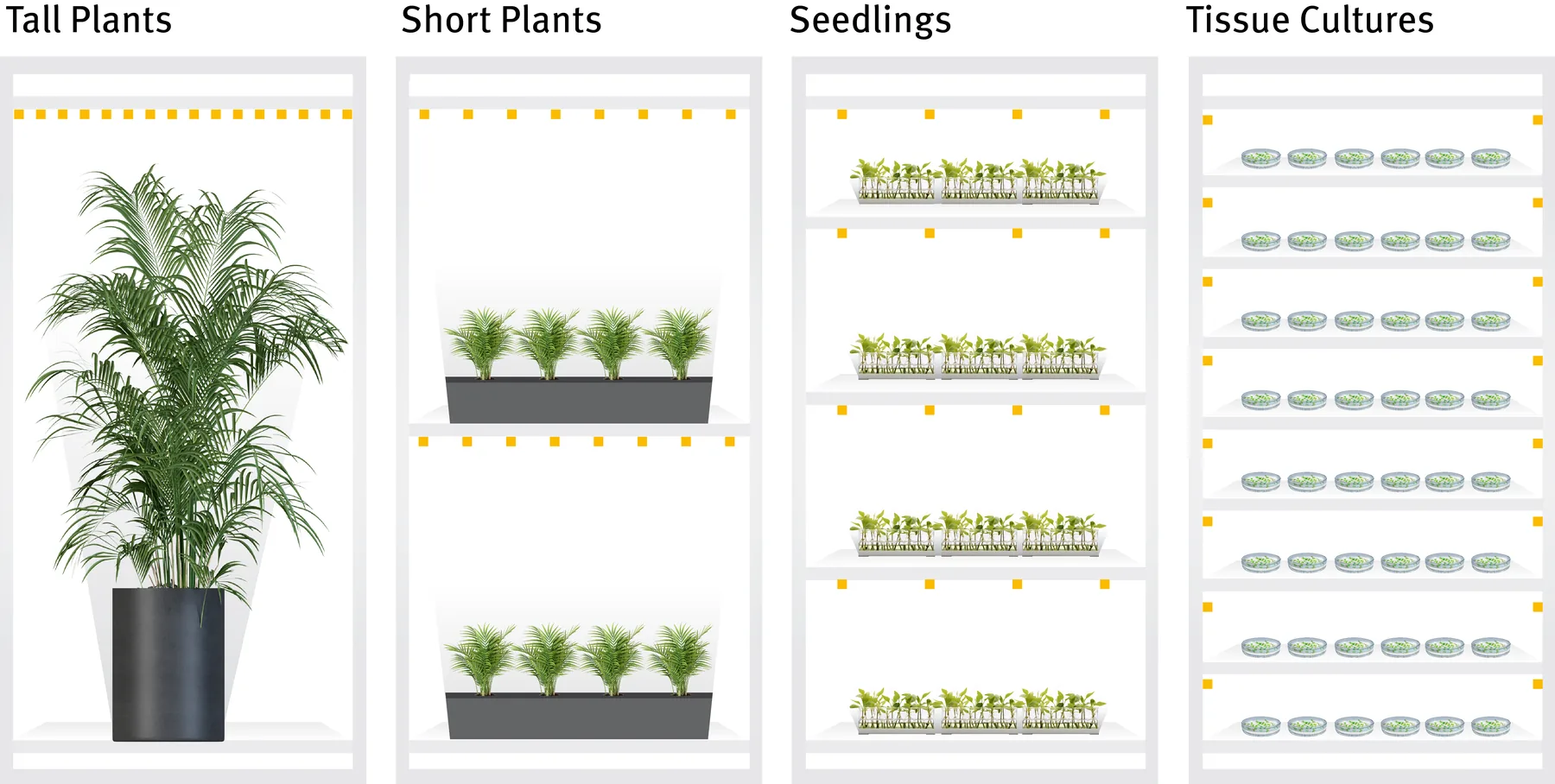 Bars to suit plant height