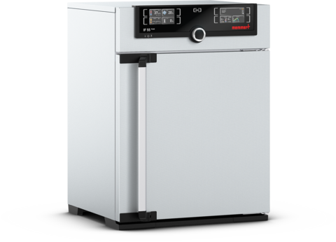 Memmert IF55mplus incubator, 53 litres, 20–80°C